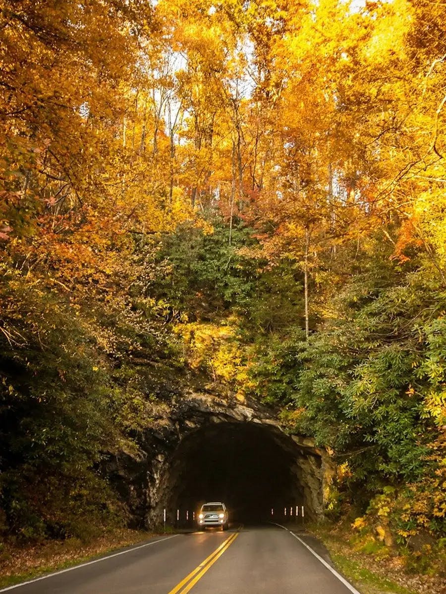 Car driving through a tunnel surrounded by vibrant autumn foliage.