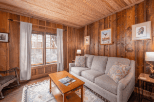 glen_choga_Lodge_Nantahala_NC_Hotel_Laurel_Suite 3 - Glen Choga Lodge image of sofa and living area in nantahala hotel glen choga lodge