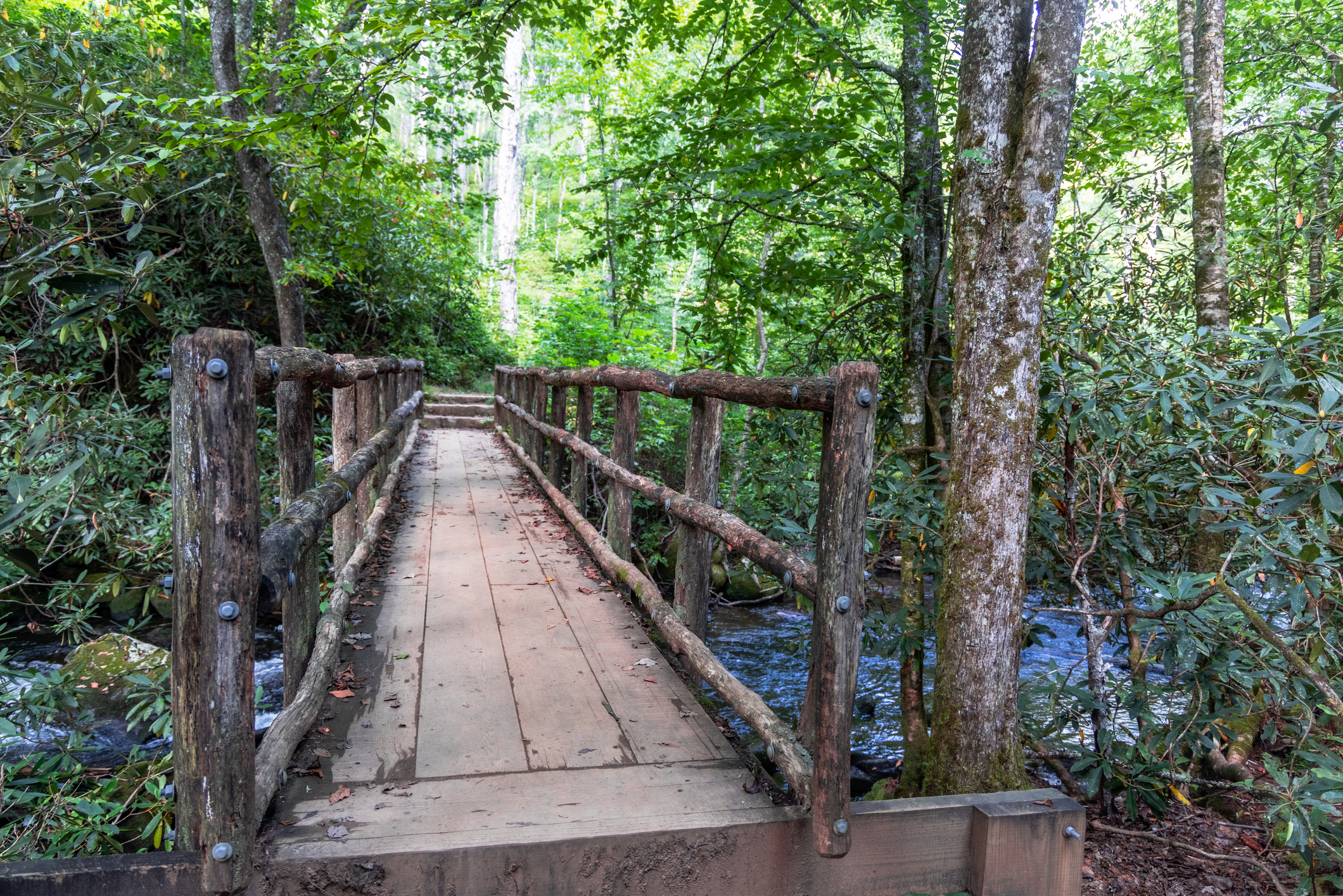 Image of bridge in Joyce Kilmer